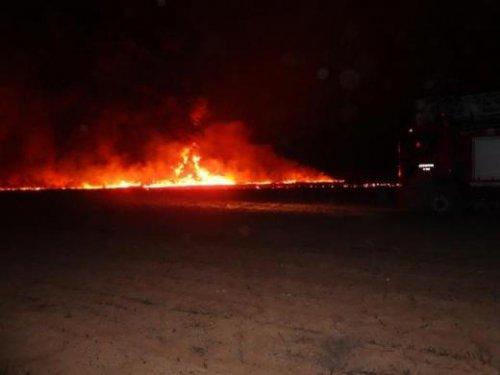 Sabotaj yapmak isteyen PKK'lı kadın kendini yaktı