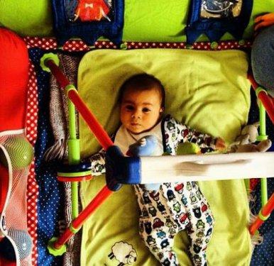 İşte Bülent İnal'ın Çınar'ı