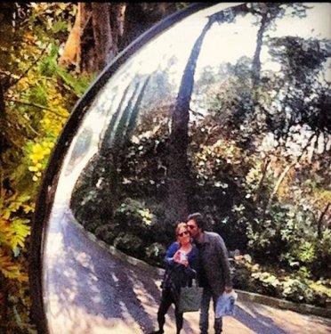 İşte Bülent İnal'ın Çınar'ı