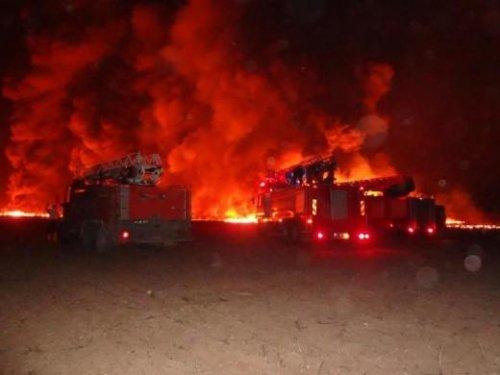 Sabotaj yapmak isteyen PKK'lı kadın kendini yaktı