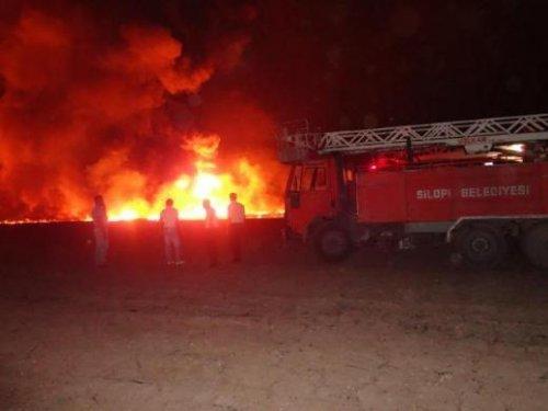 Sabotaj yapmak isteyen PKK'lı kadın kendini yaktı