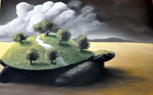 Oxford'dan gelen teklifi yanan Şeyhmus pes etmeyecek