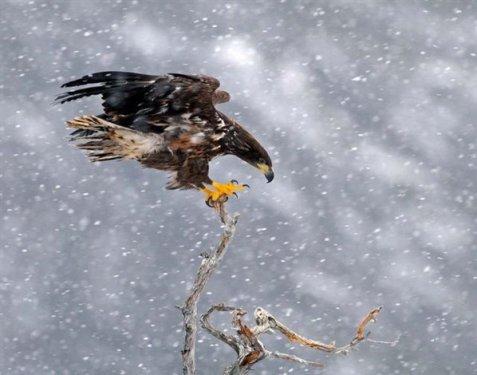 Masal gibi ülke: Norveç