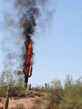 Şaşırtan baz istasyonları 