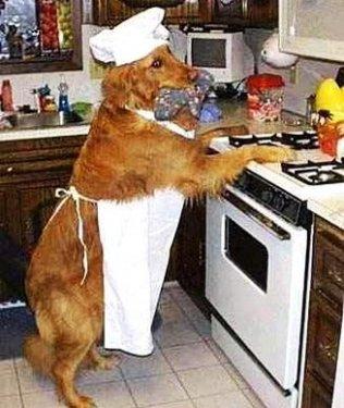 Birbirinden sevimli halleri güldürüyor