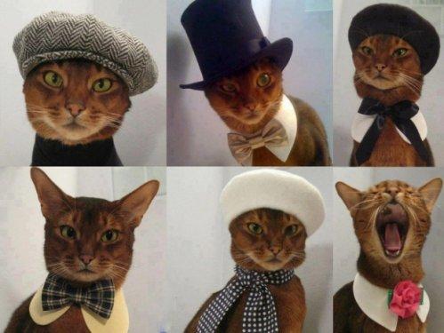 Birbirinden sevimli halleri güldürüyor