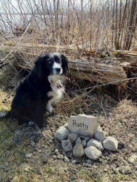 Birbirinden sevimli halleri güldürüyor