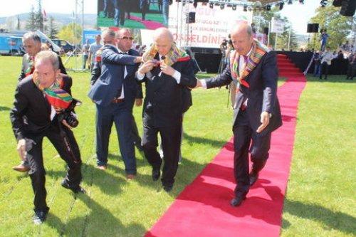 Devlet Bahçeli halıya takılıp düştü
