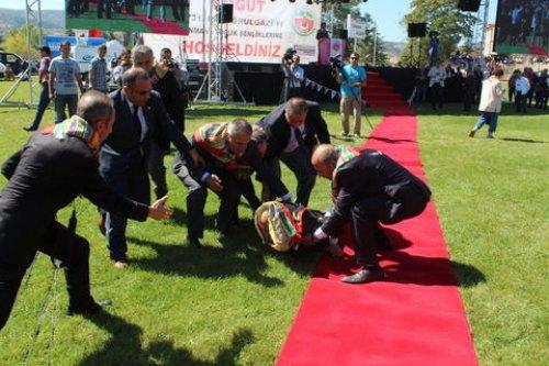 Devlet Bahçeli halıya takılıp düştü