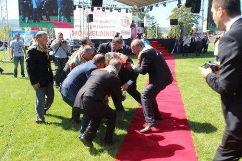 Devlet Bahçeli halıya takılıp düştü