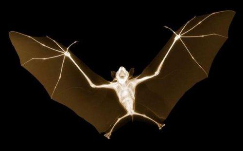 Fotoğrafçının bakış açısı