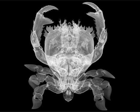 Fotoğrafçının bakış açısı