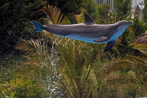 İlginç hayvan fotoğrafları