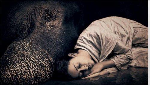 İnsan ve doğa iç içe