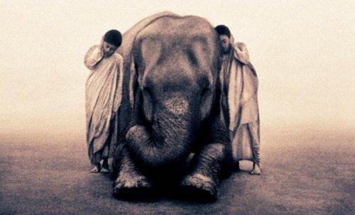 İnsan ve doğa iç içe