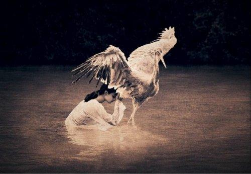 İnsan ve doğa iç içe