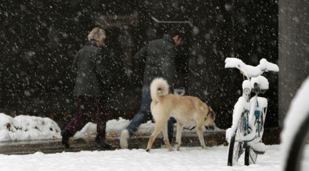 Avrupa'ya yılın ilk karı yağdı