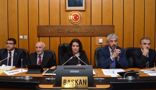 Deniz Baykal komisyonu terketti