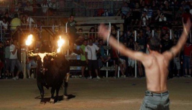 Boğaları diri diri yaktılar