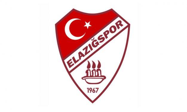 Takım sembolleri nasıl ortaya çıktı? 