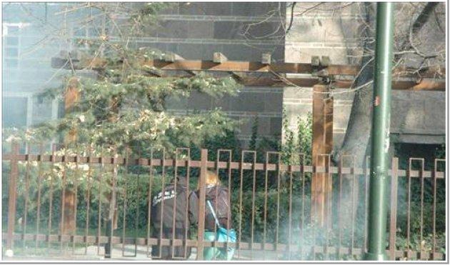 Ankara Üniversitesi karıştı