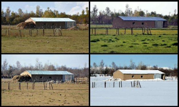 Tek fotoğrafta dört mevsim