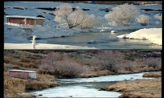 Tek fotoğrafta dört mevsim