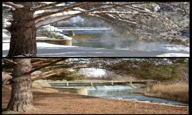 Tek fotoğrafta dört mevsim