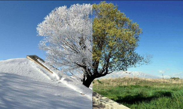 Tek fotoğrafta dört mevsim