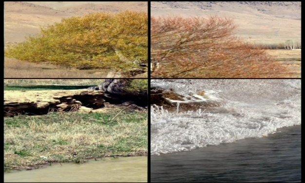 Tek fotoğrafta dört mevsim