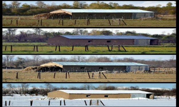 Tek fotoğrafta dört mevsim