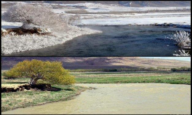 Tek fotoğrafta dört mevsim