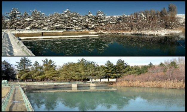 Tek fotoğrafta dört mevsim