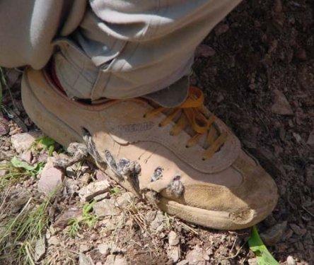 Yakalanan PKK'lının üzerinden çıkan fotoğraflar