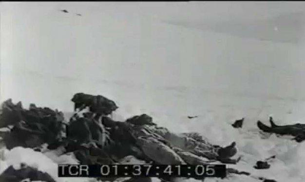 Sarıkamış Harekatı (22 Aralık 1914-15 Ocak 1915)