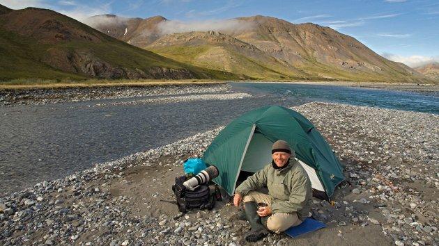 Kitle halinde yaşayan hayvanlar