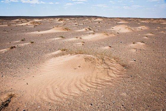 Moğolistan'ın son göçebeleri  