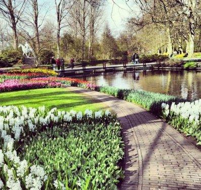Abdullah Gül Hollanda'da fotoğrafçılığa soyundu