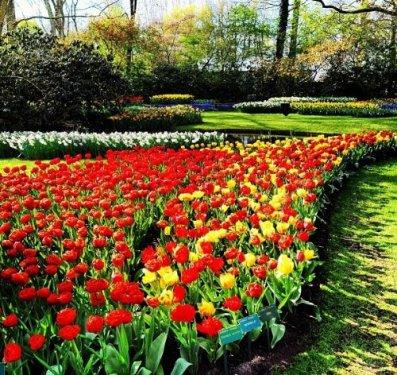 Abdullah Gül Hollanda'da fotoğrafçılığa soyundu