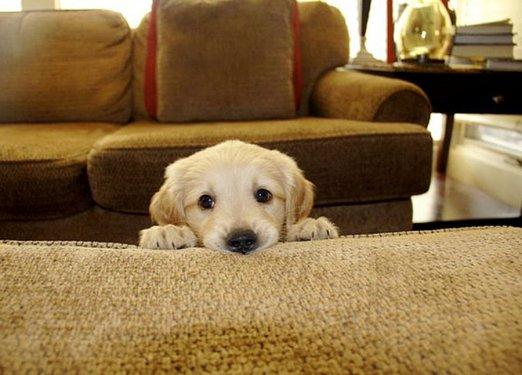 Hiç duyulmamış 12 tuhaf fobi 