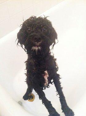 Hiç duyulmamış 12 tuhaf fobi 