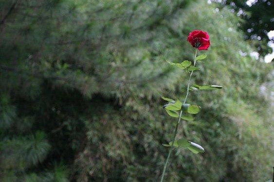 Tarihe iz bırakan sözler