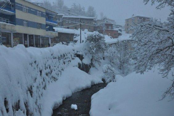Bitlis'te araçlarını böyle bulabiliyorlar