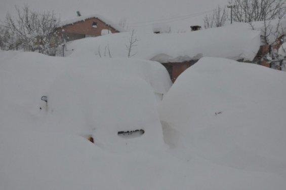 Bitlis'te araçlarını böyle bulabiliyorlar