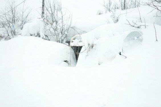 Bitlis'te araçlarını böyle bulabiliyorlar