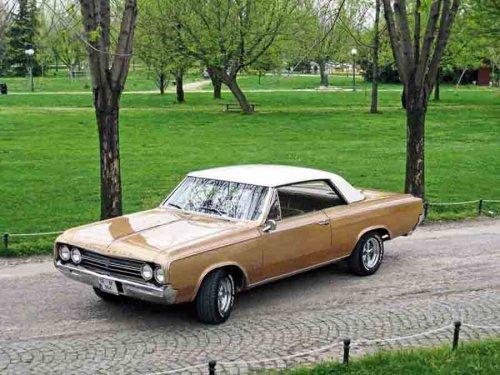 Klasik otomobil tutkusu