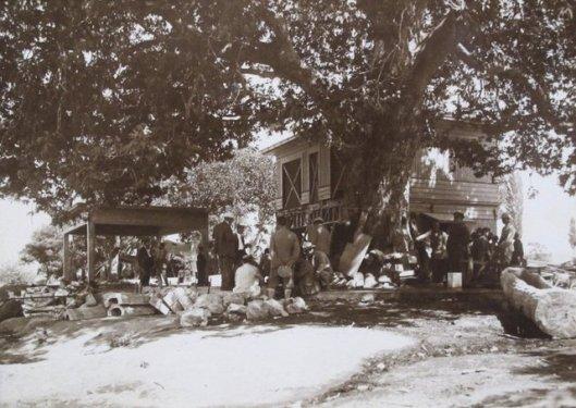 Atatürk'ün çok özel fotoğrafları müzayedeye çıkıyor