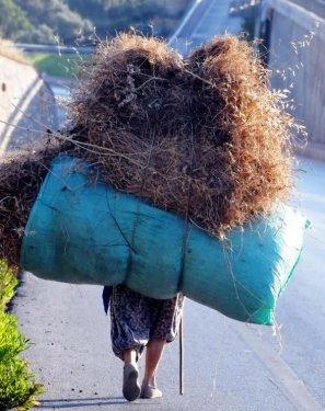 Gadının adı mı var