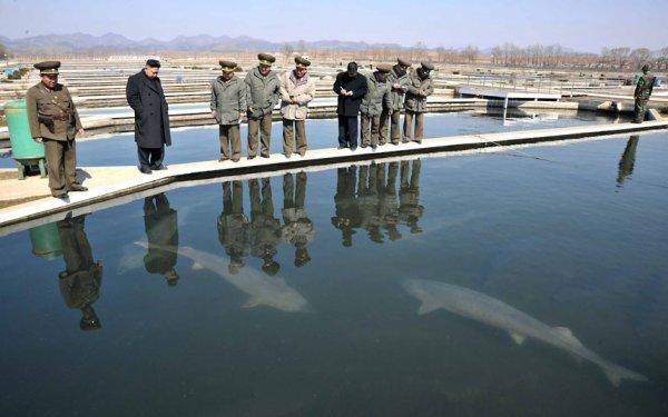 Kim Jong Un'un askeri gezisinden kareler