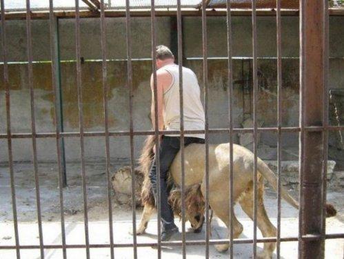 Survivor 6. sezon başlıyor